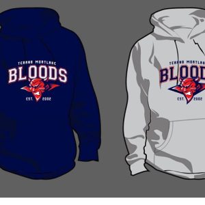 Adult College Hoodies